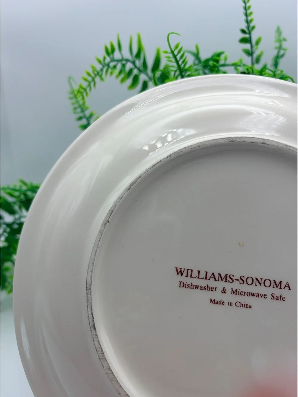 Williams Sonoma breakfast plate. No damage.
